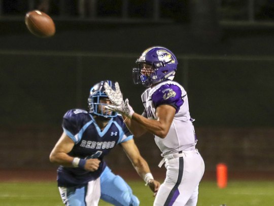 Brandon Hargrove has his eye on the ball from this photo in Lemoore's WYL opener a week ago. The Tigers fell to 0-2 in the WYL with its 24-6 loss to El Diamante.